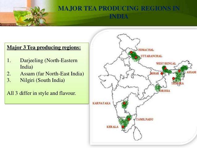 Major Tea producing states in India