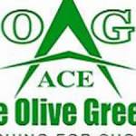 Ace Olive Greens